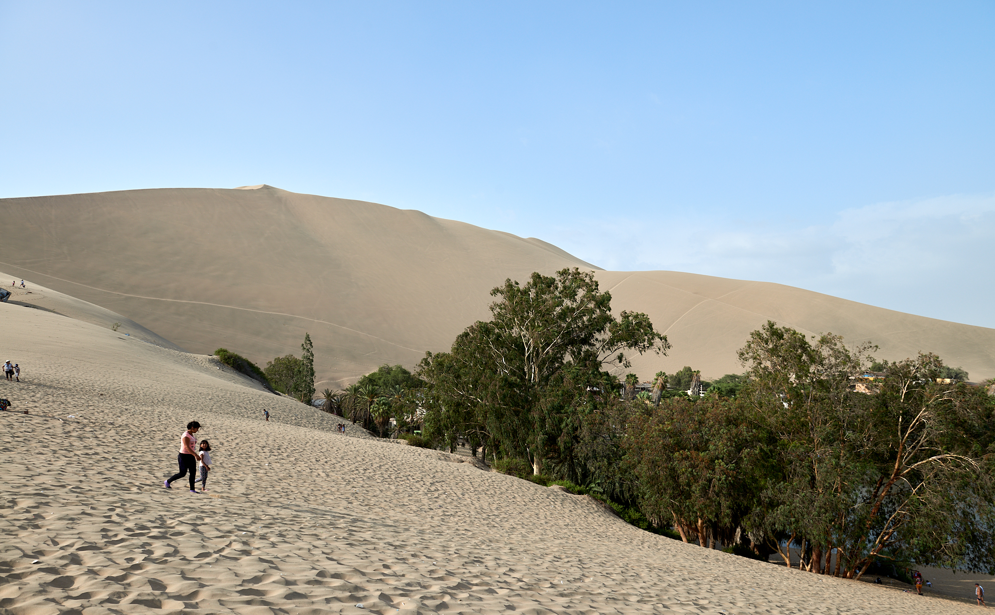 20200303 070 [페루] 와카치나